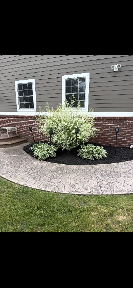 Curved paver-edged bed with hostas and fresh mulch